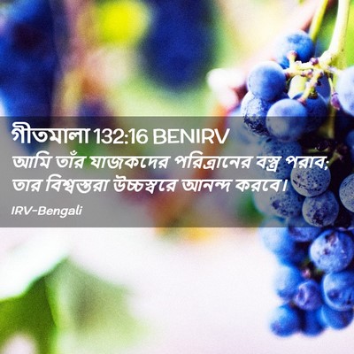 Picture 02 - গীতমালা 132:16 BENIRV - আমি তাঁর যাজকদের - Bible Verse Picture