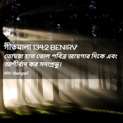 Picture 02 - গীতমালা 134:2 BENIRV - তোমরা হাত তোল - Bible Verse Picture