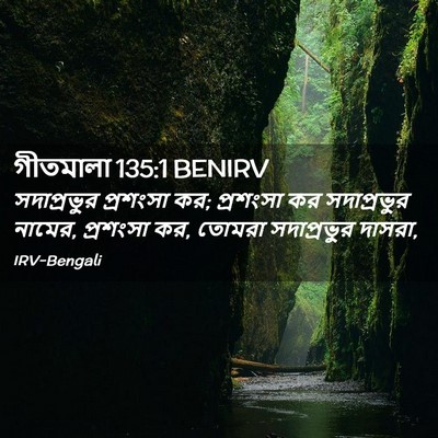 Picture 02 - গীতমালা 135:1 BENIRV - সদাপ্রভুুর - Bible Verse Picture