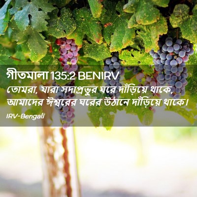 Picture 02 - গীতমালা 135:2 BENIRV - তোমরা, যারা - Bible Verse Picture
