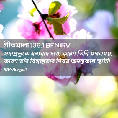 Picture 02 - গীতমালা 136:1 BENIRV - সদাপ্রভুুকে - Bible Verse Picture
