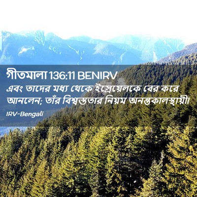 Picture 02 - গীতমালা 136:11 BENIRV - এবং তাদের মধ্য - Bible Verse Picture