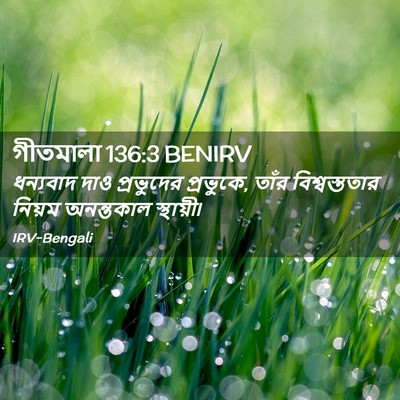 Picture 02 - গীতমালা 136:3 BENIRV - ধন্যবাদ দাও - Bible Verse Picture