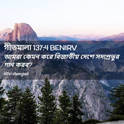 Picture 02 - গীতমালা 137:4 BENIRV - আমরা কেমন করে - Bible Verse Picture