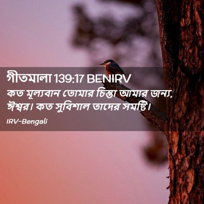 Picture 02 - গীতমালা 139:17 BENIRV - কত মূল্যবান তোমার - Bible Verse Picture