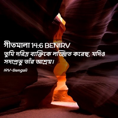 Picture 02 - গীতমালা 14:6 BENIRV - তুমি দরিদ্র - Bible Verse Picture