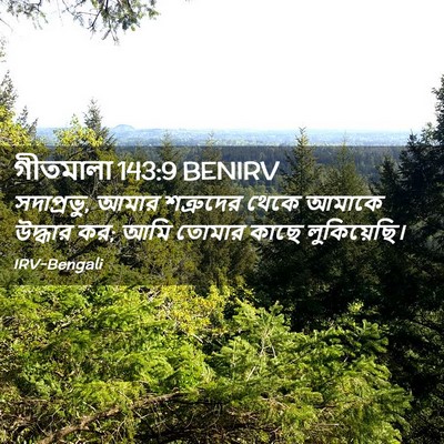 Picture 02 - গীতমালা 143:9 BENIRV - সদাপ্রভুু, আমার - Bible Verse Picture