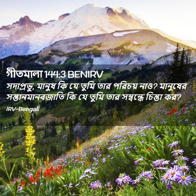 Picture 02 - গীতমালা 144:3 BENIRV - সদাপ্রভুু, মানুষ - Bible Verse Picture
