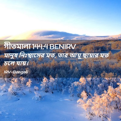 Picture 02 - গীতমালা 144:4 BENIRV - মানুষ নিঃশ্বাসের - Bible Verse Picture