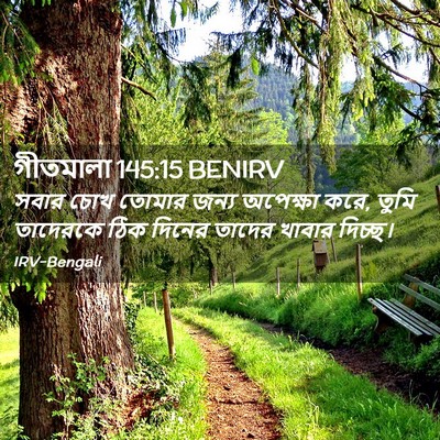 Picture 02 - গীতমালা 145:15 BENIRV - সবার চোখ তোমার - Bible Verse Picture