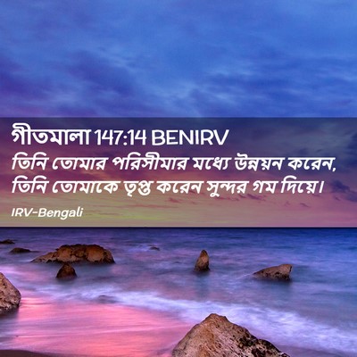 Picture 02 - গীতমালা 147:14 BENIRV - তিনি তোমার - Bible Verse Picture