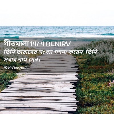 Picture 02 - গীতমালা 147:4 BENIRV - তিনি তারাদের - Bible Verse Picture