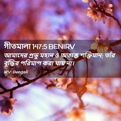 Picture 02 - গীতমালা 147:5 BENIRV - আমাদের প্রভু মহান - Bible Verse Picture