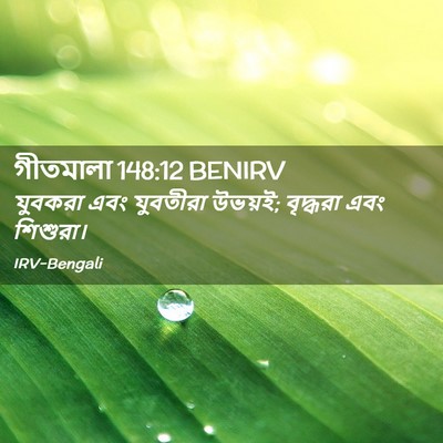 Picture 02 - গীতমালা 148:12 BENIRV - যুবকরা এবং - Bible Verse Picture