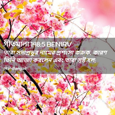 Picture 02 - গীতমালা 148:5 BENIRV - তারা সদাপ্রভুুর - Bible Verse Picture