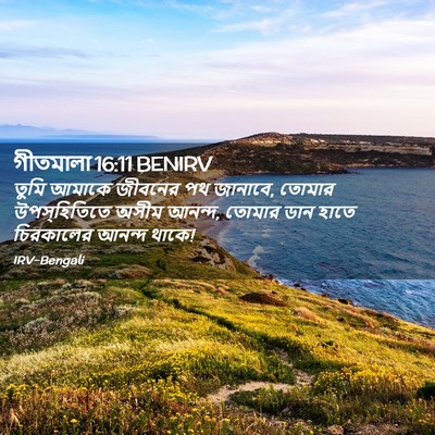 Picture 02 - গীতমালা 16:11 BENIRV - তুমি আমাকে জীবনের - Bible Verse Picture