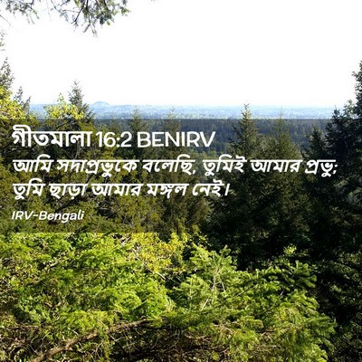 Picture 02 - গীতমালা 16:2 BENIRV - আমি সদাপ্রভুুকে - Bible Verse Picture