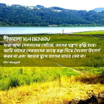 Picture 02 - গীতমালা 16:4 BENIRV - যারা অন্য - Bible Verse Picture