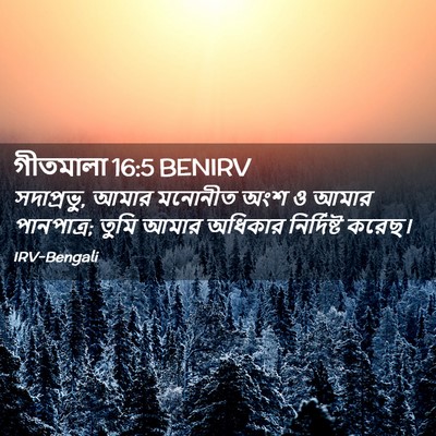Picture 02 - গীতমালা 16:5 BENIRV - সদাপ্রভুু, আমার - Bible Verse Picture