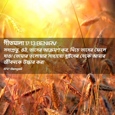 Picture 02 - গীতমালা 17:13 BENIRV - সদাপ্রভুু, ওঠ, - Bible Verse Picture