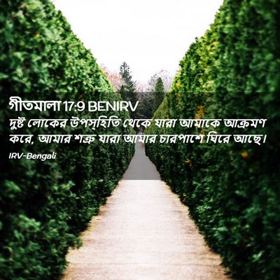Picture 02 - গীতমালা 17:9 BENIRV - দুষ্ট লোকের - Bible Verse Picture