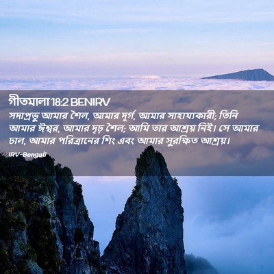 Picture 02 - গীতমালা 18:2 BENIRV - সদাপ্রভুু আমার - Bible Verse Picture