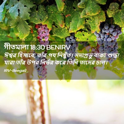 Picture 02 - গীতমালা 18:30 BENIRV - ঈশ্বর হিসাবে, তাঁর - Bible Verse Picture