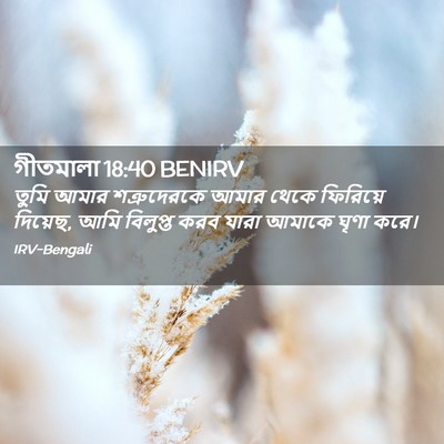 Picture 02 - গীতমালা 18:40 BENIRV - তুমি আমার - Bible Verse Picture