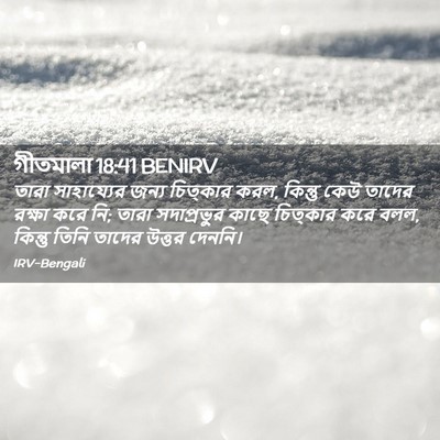 Picture 02 - গীতমালা 18:41 BENIRV - তারা সাহায্যের - Bible Verse Picture