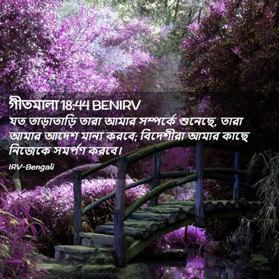 Picture 02 - গীতমালা 18:44 BENIRV - যত তাড়াতাড়ি - Bible Verse Picture