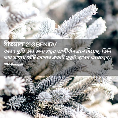 Picture 02 - গীতমালা 21:3 BENIRV - কারণ তুমি তার জন্য - Bible Verse Picture