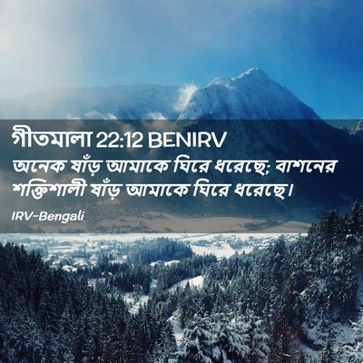 Picture 02 - গীতমালা 22:12 BENIRV - অনেক ষাঁড় আমাকে - Bible Verse Picture