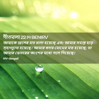 Picture 02 - গীতমালা 22:14 BENIRV - আমাকে জলের মত ঢালা - Bible Verse Picture