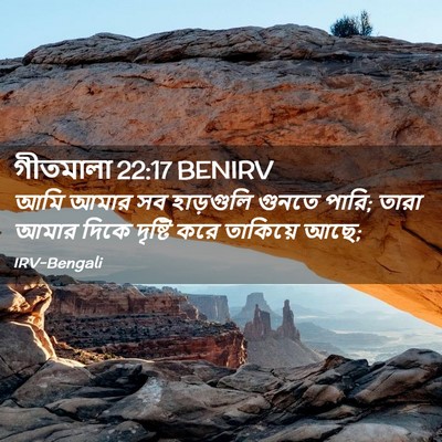 Picture 02 - গীতমালা 22:17 BENIRV - আমি আমার সব - Bible Verse Picture