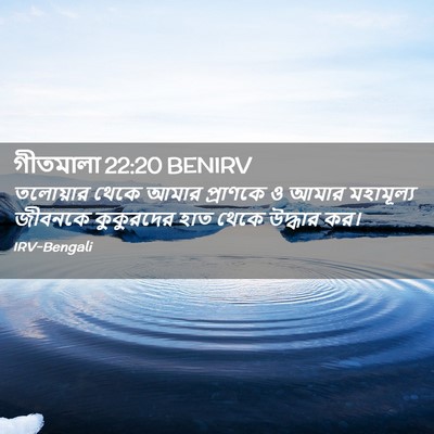 Picture 02 - গীতমালা 22:20 BENIRV - তলোয়ার থেকে আমার - Bible Verse Picture