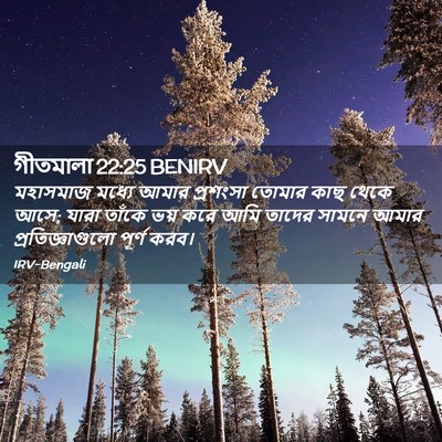 Picture 02 - গীতমালা 22:25 BENIRV - মহাসমাজ মধ্যে - Bible Verse Picture