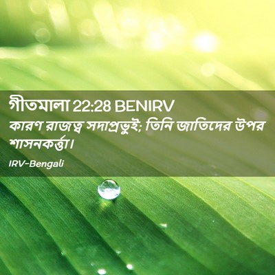 Picture 02 - গীতমালা 22:28 BENIRV - কারণ রাজত্ব - Bible Verse Picture