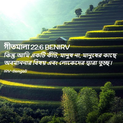 Picture 02 - গীতমালা 22:6 BENIRV - কিন্তু আমি একটি - Bible Verse Picture