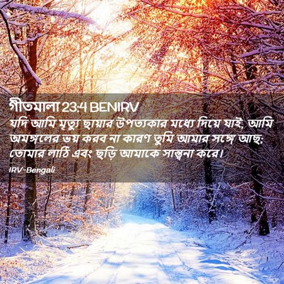 Picture 02 - গীতমালা 23:4 BENIRV - যদি আমি মৃত্যু - Bible Verse Picture