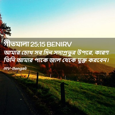Picture 02 - গীতমালা 25:15 BENIRV - আমার চোখ সব দিন - Bible Verse Picture