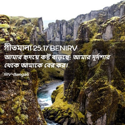 Picture 02 - গীতমালা 25:17 BENIRV - আমার হৃদয়ে কষ্ট - Bible Verse Picture