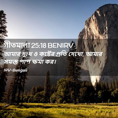 Picture 02 - গীতমালা 25:18 BENIRV - আমার দুঃখ ও কষ্টের - Bible Verse Picture