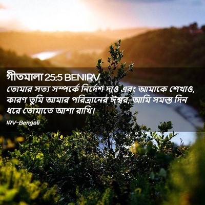 Picture 02 - গীতমালা 25:5 BENIRV - তোমার সত্য - Bible Verse Picture
