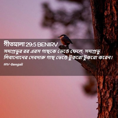 Picture 02 - গীতমালা 29:5 BENIRV - সদাপ্রভুুর রর এরস - Bible Verse Picture