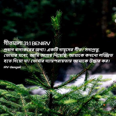 Picture 02 - গীতমালা 31:1 BENIRV - প্রধান বাদ্যকরের - Bible Verse Picture