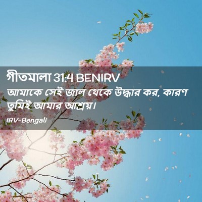 Picture 02 - গীতমালা 31:4 BENIRV - আমাকে সেই জাল থেকে - Bible Verse Picture