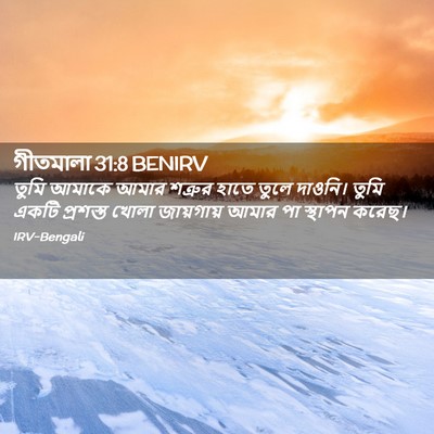 Picture 02 - গীতমালা 31:8 BENIRV - তুমি আমাকে আমার - Bible Verse Picture