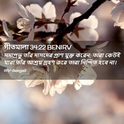 Picture 02 - গীতমালা 34:22 BENIRV - সদাপ্রভুু তাঁর - Bible Verse Picture