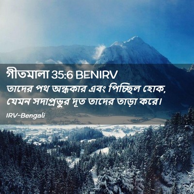 Picture 02 - গীতমালা 35:6 BENIRV - তাদের পথ অন্ধকার - Bible Verse Picture