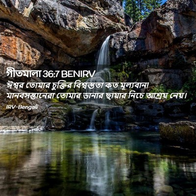 Picture 02 - গীতমালা 36:7 BENIRV - ঈশ্বর তোমার - Bible Verse Picture
